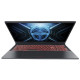 Thunderobot R16 (R16-i7136HX56C1Q180RG)