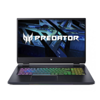 Acer Predator Helios 300 PH315-55-79DW Abyss Black (NH.QGPEU.002)