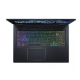 Acer Predator Helios 300 PH315-55-79DW Abyss Black (NH.QGPEU.002)