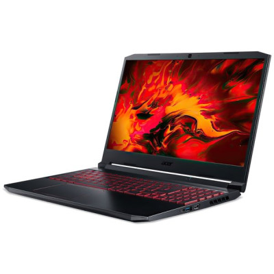 Acer Nitro 5 AN515-44 (NH.Q9GEU.00G)