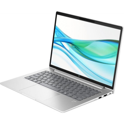 HP ProBook 445 G11 Pike Silver (AD0U1ET)