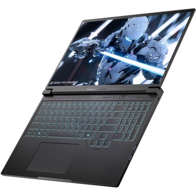 Thunderobot RS16 (RS16-i9139HX57TC1Q240ARB16)
