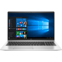 HP ProBook 455 G8 Pike Silver (1Y9H0AV_V1)