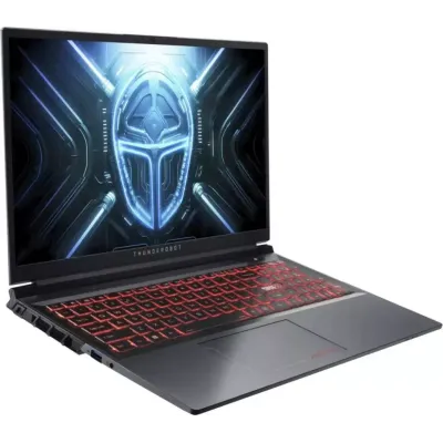 Thunderobot R16 1NLYB000015 Gray Custom 64GB / 2TB