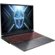 Thunderobot R16 1NLYB000015 Gray Custom 64GB / 2TB