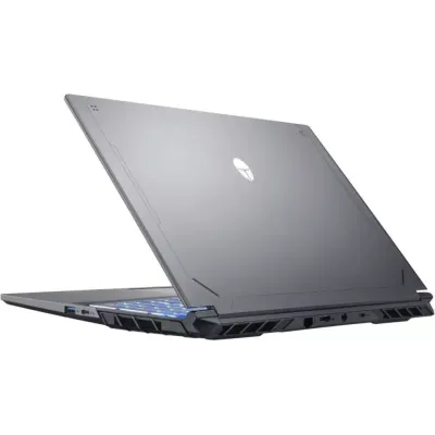 Thunderobot R16 1NLYB000015 Gray Custom 64GB / 2TB