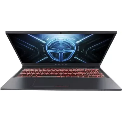 Thunderobot R16 1NLYB000015 Gray Custom 64GB / 2TB