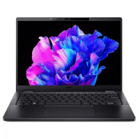 Acer TravelMate TMP614-53 (NX.B0AEU.008)