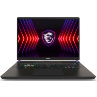 MSI Vector 17 HX A14VGG-245CZ Gray (9S7-17S262-245)