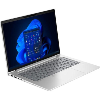 HP ProBook 4 G1a 14 Pike Silver (B9ZG6ET)