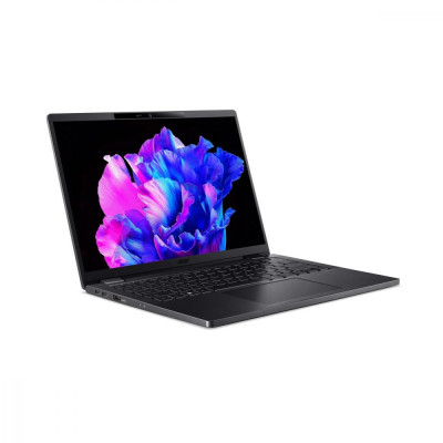 Acer TravelMate TMP614-53 (NX.B0AEU.002)