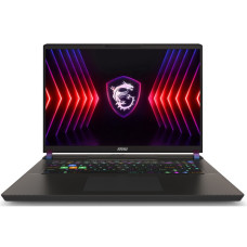 MSI Vector 17HX A14VGG (A14VGG-221PL)