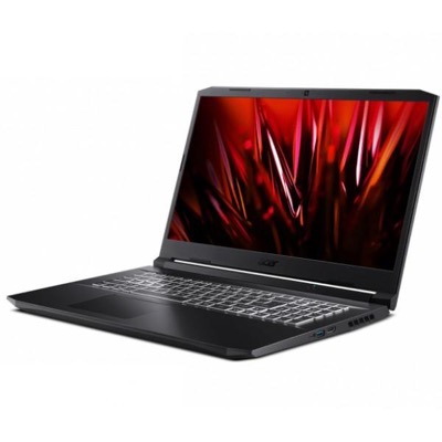 Acer Nitro 5 AN517-41-R4FJ (NH.QBGEV.00B)