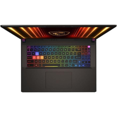 MSI Vector 17 HX AI A2XWJG Cosmos Gray (A2XWJG-042U, 9S7-17S372-042)