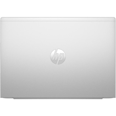 HP ProBook 465 G11 Pike Silver (A37QVET)