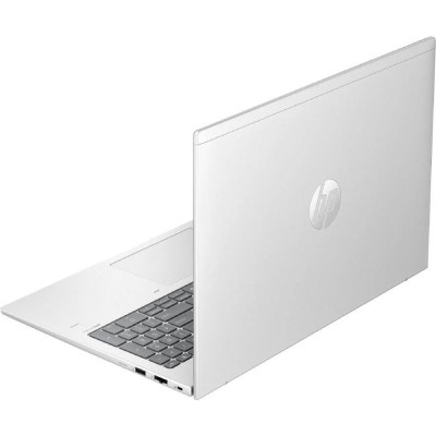 HP ProBook 465 G11 Pike Silver (A38JWET)
