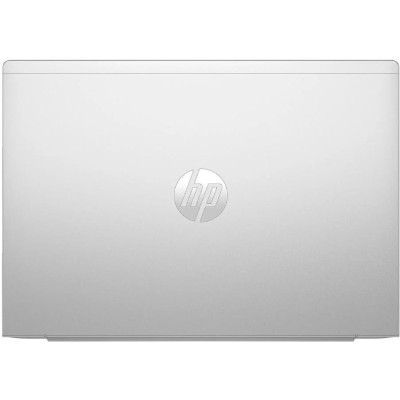 HP ProBook 465 G11 Pike Silver (A38JWET)