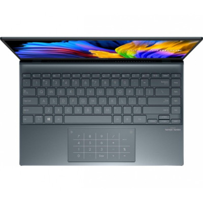 ASUS ZenBook 14 UM425UA (UM425UA-KI216W)