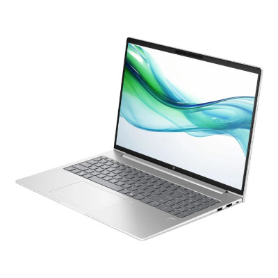 HP ProBook 460 G11 Pike Silver (9Y7B6ET)