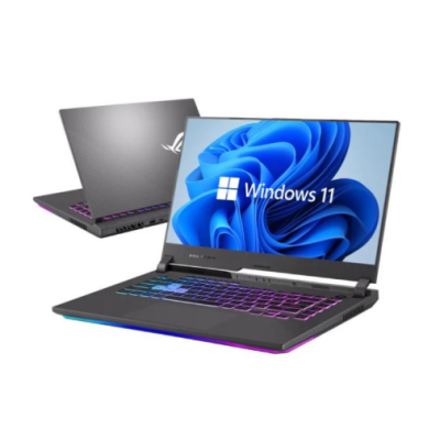 ASUS ROG Strix G15 G513IM (G513IM-HN008W)