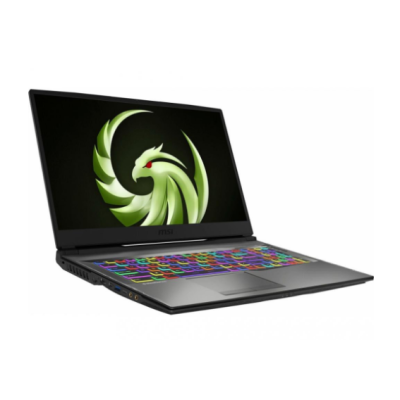 MSI Alpha 17 (17B5EEK-024XUA)