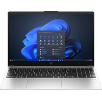 HP 250R G10 Turbo Silver (B3AF9AT)