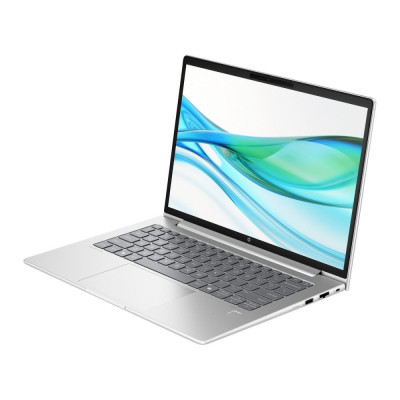 HP ProBook 445 G11 Pike Silver (AD0T7ET)