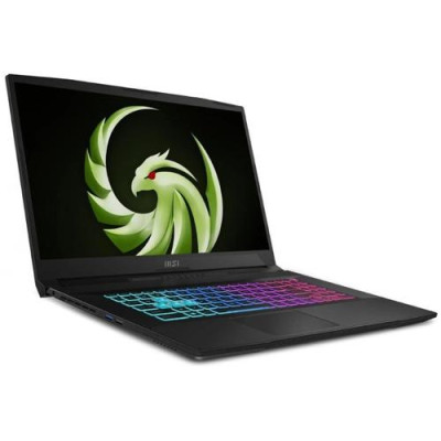 MSI Bravo 17 D7VEK (D7VEK-092XPL)