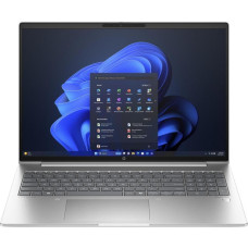 HP ProBook 465 G11 Pike Silver (A38JXET)