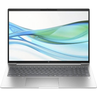 HP ProBook 465 G11 Pike Silver (A38JVET)