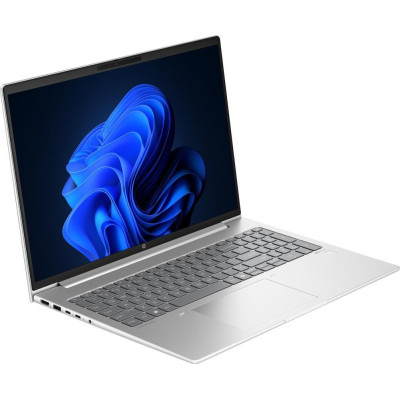 HP ProBook 465 G11 Pike Silver (A38JVET)