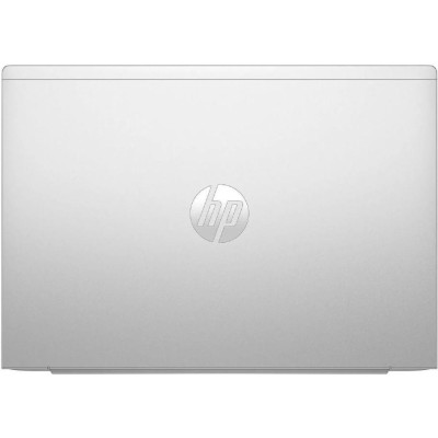 HP ProBook 465 G11 Pike Silver (A38JVET)