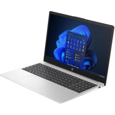 HP 250 G10 Turbo Silver (AL0B9AT)