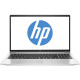HP ProBook 455 G8 Pike Silver (1Y9H2AV_V2)