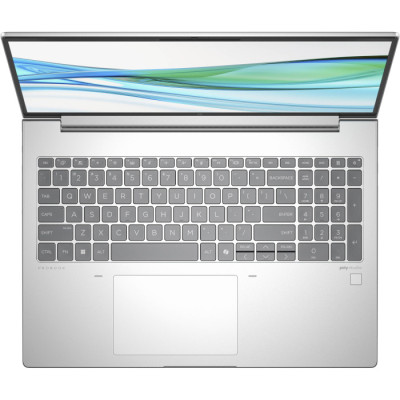 HP ProBook 465 16' G11 Natural Silver (901H6AV_V2)