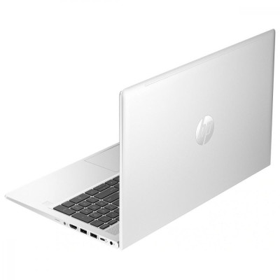 HP ProBook 455 G10 Silver (719F5AV_V4)