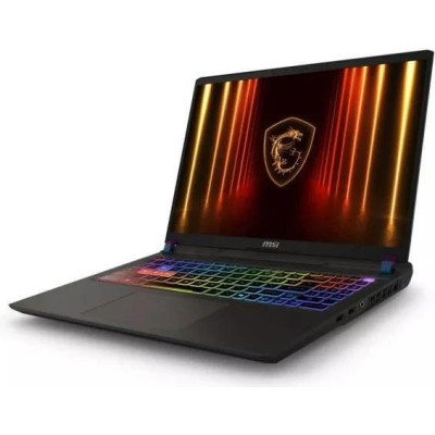 MSI Vector 16 A2XWIG Cosmos Gray (A2XWIG-059US) Сustom 64/1