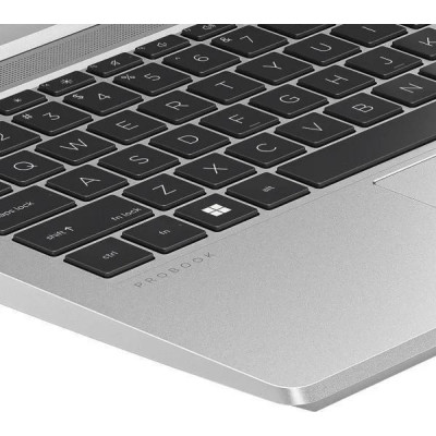 HP ProBook 445 G10 Pike Silver (7P3C7UT)
