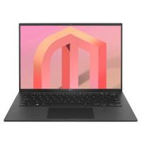 LG gram 14 Lightweight Laptop (14Z90Q-K.AAB6U1)