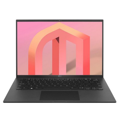 LG gram 14 Lightweight Laptop (14Z90Q-K.AAB6U1)