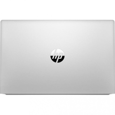 HP ProBook 455 G8 Pike Silver (1Y9H0AV_V3)