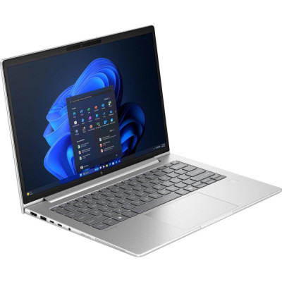 HP EliteBook 6 G1a Pike Silver (AY4Z7AV_V7)