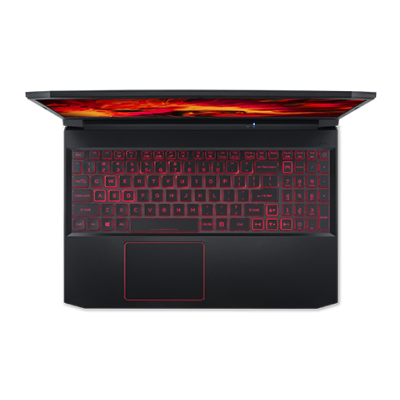 Acer Nitro 5 AN515-55-53E5 (NH.QB0AA.001) custom 32-1-2