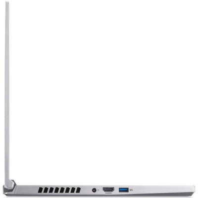 Acer Predator Triton 300 SE PT316-51s-5616 (NH.QGJEU.004)