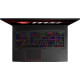 MSI GE75 Raider 10SF (GE10SF-019US)