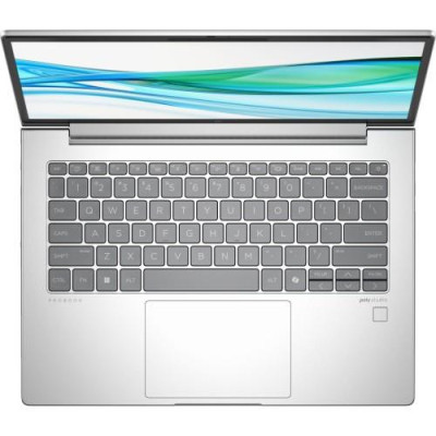 HP ProBook 445 G11 (8Z9P4AV_V5)
