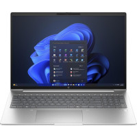 HP ProBook 460 G11 Pike Silver (AD0V6ET)