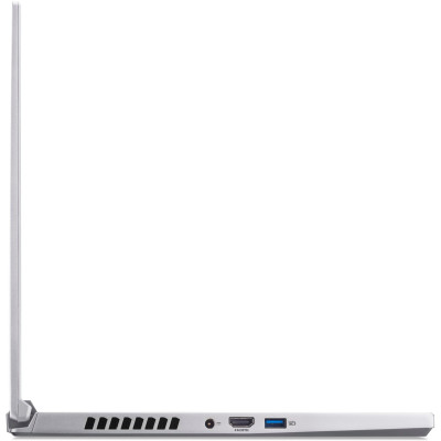 Acer Predator Triton 300 SE PT316-51s-75X9 Sparkly Silver (NH.QGKEU.007)