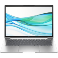 HP ProBook 445 G11 Pike Silver (AD0U0ET)
