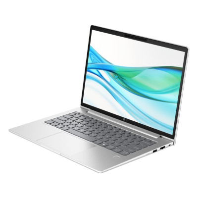 HP ProBook 445 G11 Pike Silver (AD0U0ET)